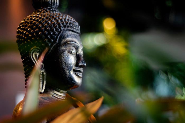 Buddha head with leaves